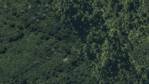 Waitakere Ranges Regional Park