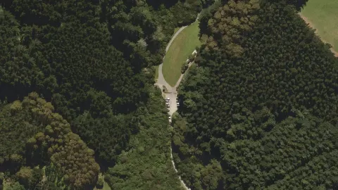 Bethune's Gully