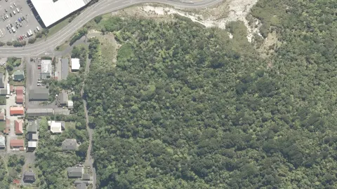 King Park