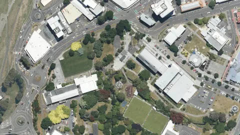 Riddiford Gardens