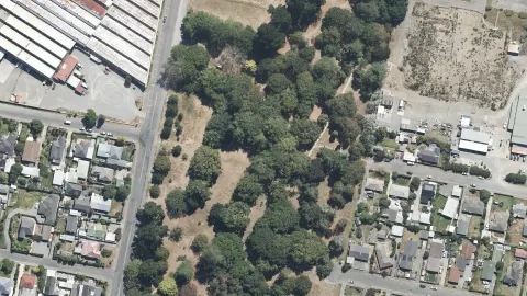 Kaiapoi Domain