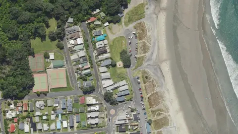Pohutukawa Park