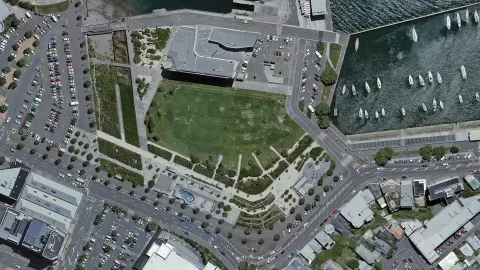 Waitangi Park