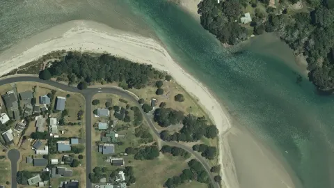 Purangi Regional Reserve