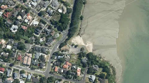 Taylors Bay Reserve