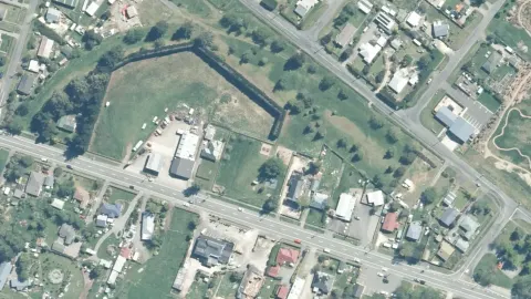 Springfield Domain