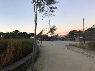 Waitangi Park photo 4