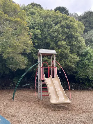 Tahaki Reserve Playground photo 10