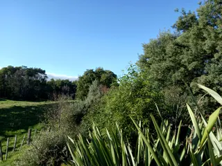 Allan Muntz Reserve