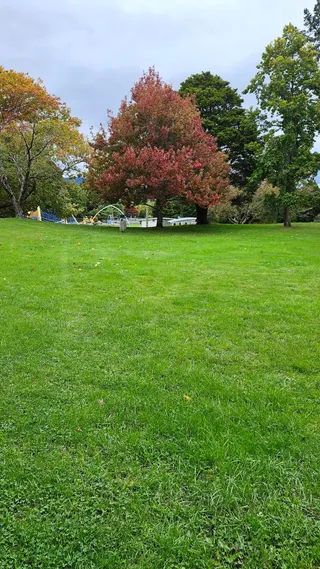 Harcourt Park photo 9