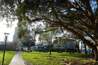 Aro Park
