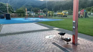 Picton Memorial Park Playground