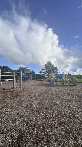 Thompson Park Playground photo 3