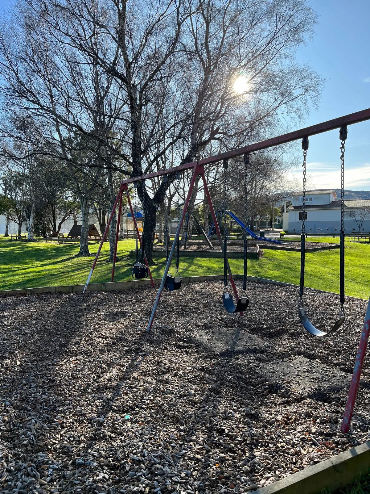 Swings on bark under birch trees at Ōpoho Park playground, Dunedin North