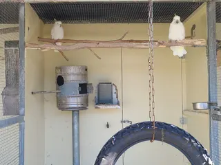 Caroline Bay Aviary