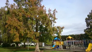 Naish Park Playground photo 6