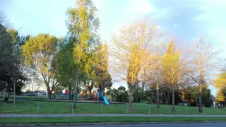 Crosbie Park Playground photo 5