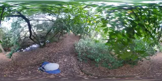 Abberley Park photo 10