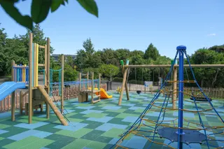 Ferndale Drive Playground