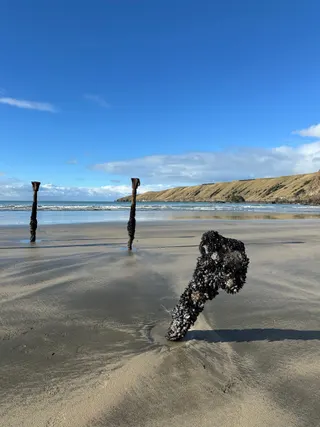 Visit photo