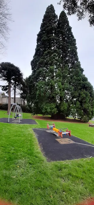 Arthur Street Playground photo 2