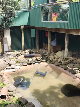 Pukekura Park photo 3