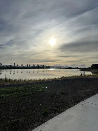 Sharma's Reserve
