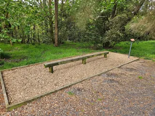 Craigavon Park photo 9