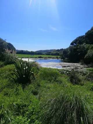 Papakowhai Reserve