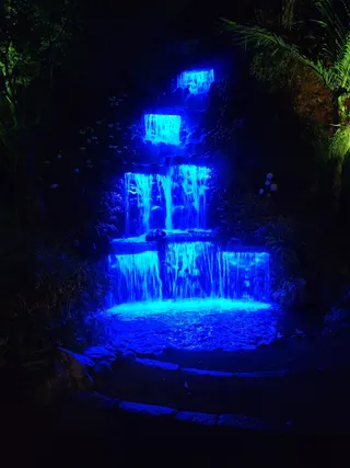Pukekura Park photo 6
