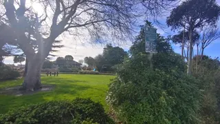 Shamrock Reserve Playground