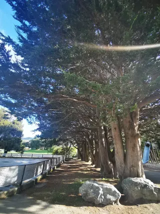 Grasslees Reserve photo 4