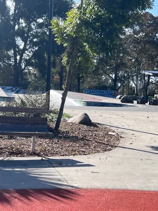 Melville Park photo 5