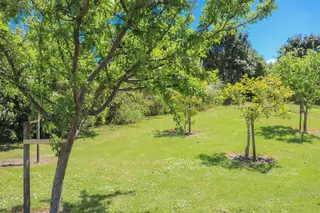 [source: kapiti-coast https://www.kapiticoast.govt.nz/explore-kapiti/recreation/parks-and-reserves/parks/tasman-road-reserve/]