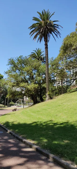 Myers Park Playground photo 6