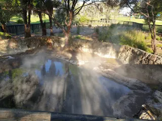 Kuirau Park photo 9