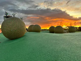 Papatakohe Park photo 2