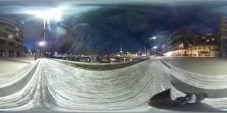 Waitangi Park photo 5