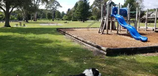 Taupahi Reserve Park