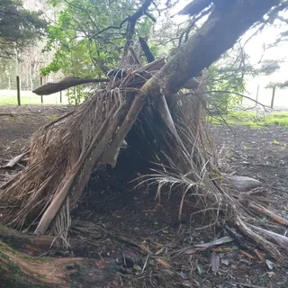 Rooseville Park photo 3