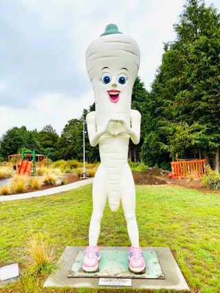 Ohakune Carrot Mennesson Adventure Park photo 2