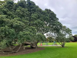Manukau Park photo 3