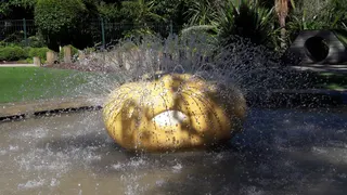 Parana Park photo 8