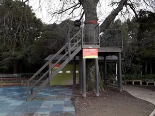 The Victoria Esplanade photo 10