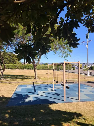 Hokowhitu Domain Playground photo 8