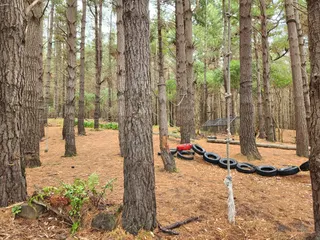 Middle Earth Adventure Park