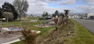 Taumarunui Domain photo 2