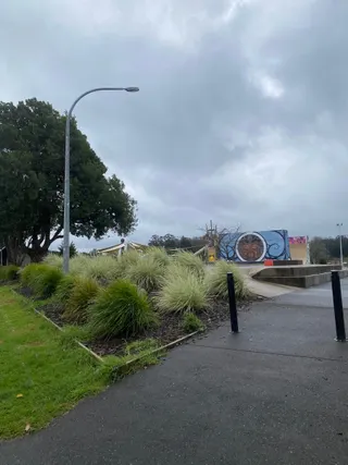 Kerikeri town Playground photo 7