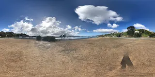 Cog Park