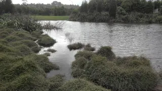 Ngawhetu Reserve - playground